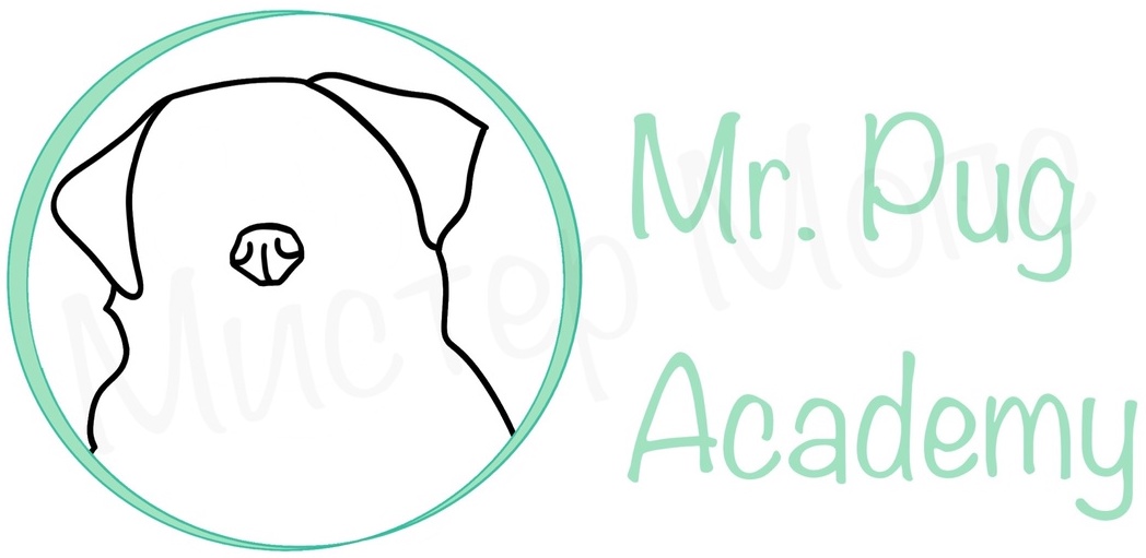 Mr.Pug Academy